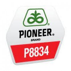Semințe porumb P8834