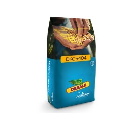 Semințe porumb DKC 5404