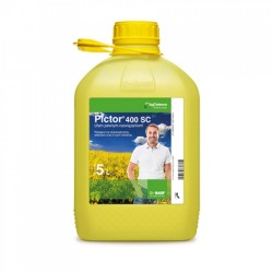Pictor 5l